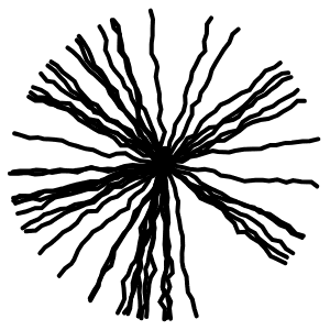 d06062025