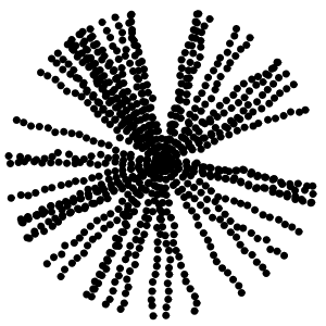 d06072025