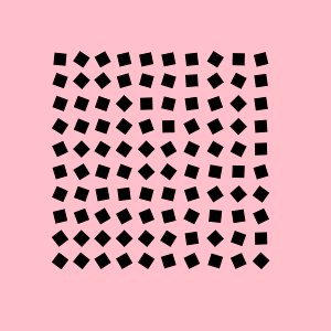d08032025